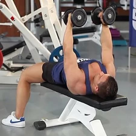 Сведение гантелей лежа