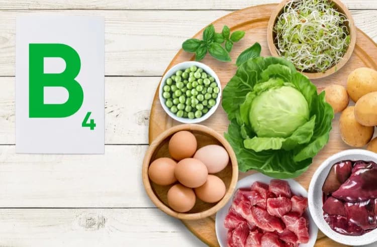 Витамин B4 (Холин)