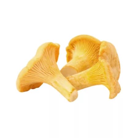 Грибы лисички сырые