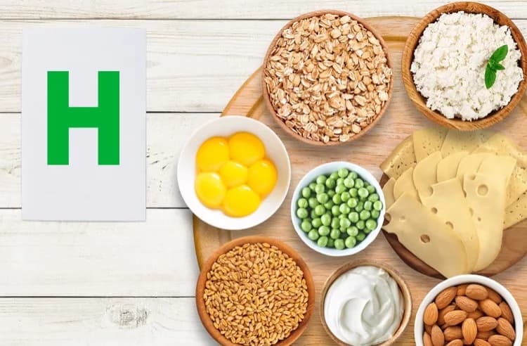 Витамин H (Биотин, В7)