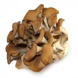 Грибы майтаке сырые