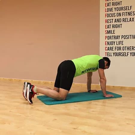 «Кошачья» растяжка