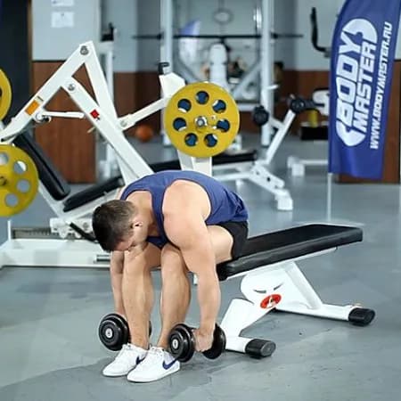 Разведение гантелей сидя в наклоне