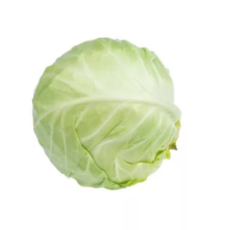 Капуста белокочанная