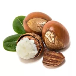 Масло ши (карите)