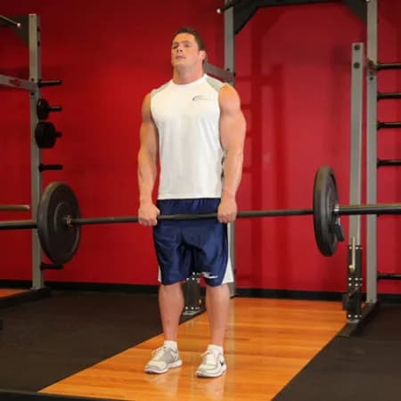 Вертикальная тяга штанги