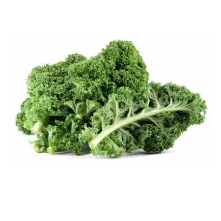 Капуста листовая свежая