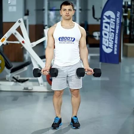 Подъем гантелей на бицепс стоя