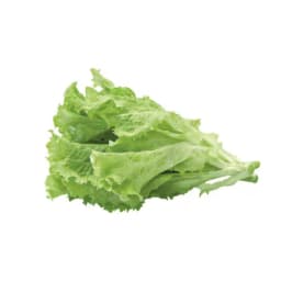 Салат листовой (зелень)