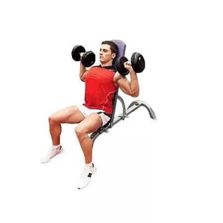 Жим гантелей сидя