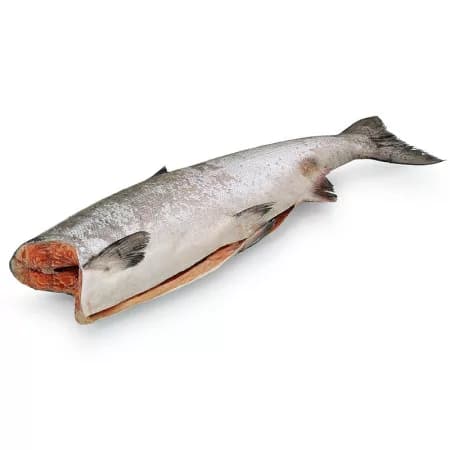 Лосось Королевский свежий