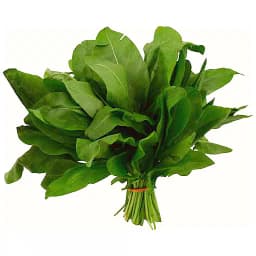 Sorrel
