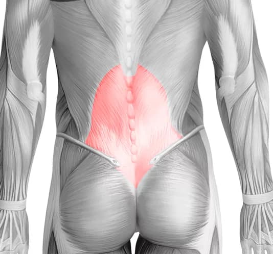 Нижняя часть спины