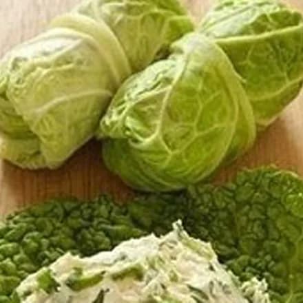 Рулетики с творогом и зеленью