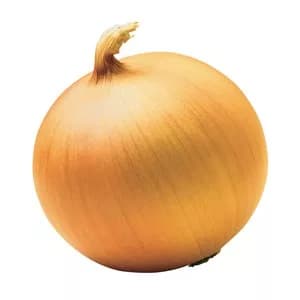 Лук репчатый