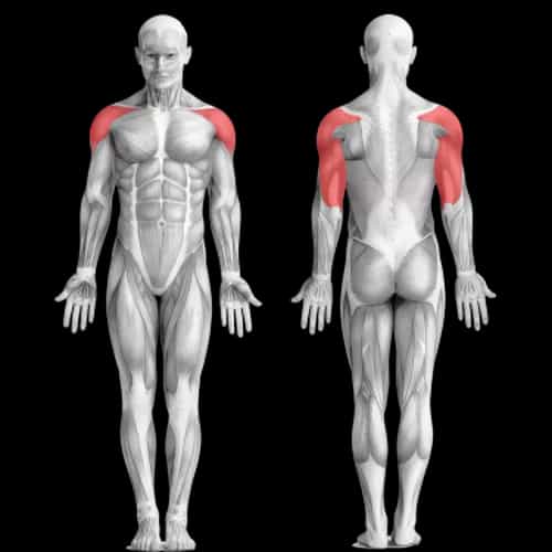 6 лучших тренировок трицепсов для парней