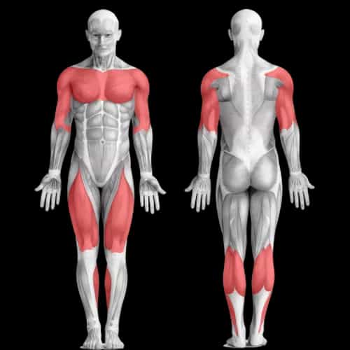 Фулбоди тренировка для тех, кто занят