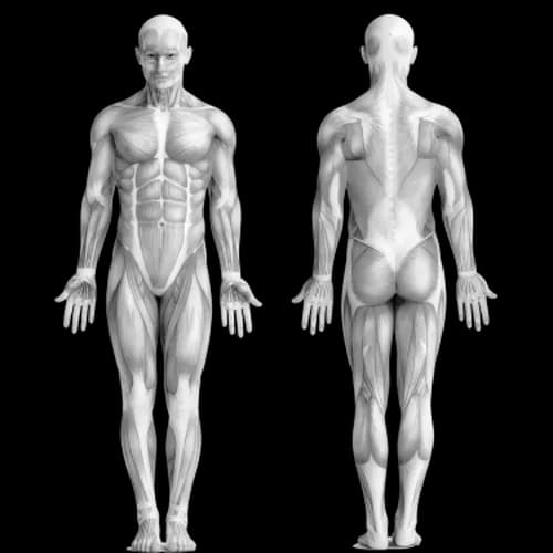 Как увеличить количество подтягиваний