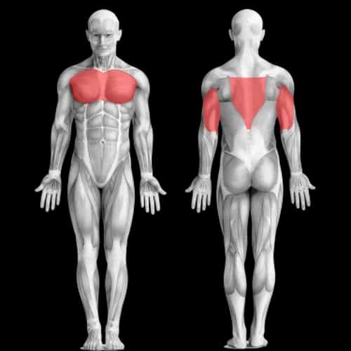 Программа тренировок с собственным весом
