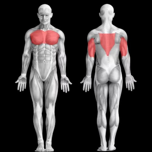 Программа тренировок с собственным весом