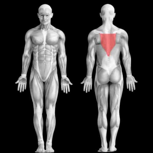 Быстрая тренировка спины от Мэг Сквотс