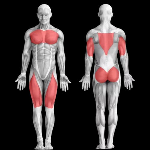 Тренируемся дома: 2 круговые тренировки для женщин