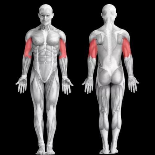 Тренировка рук от Ларри Эдвардса