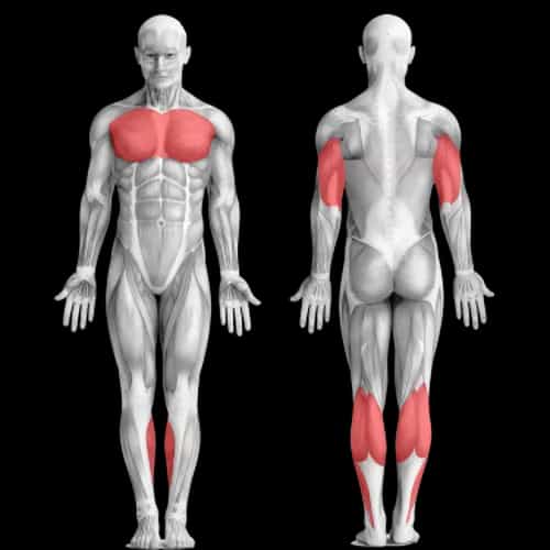 Стать толще и шире: тренировка груди в стиле хардкор