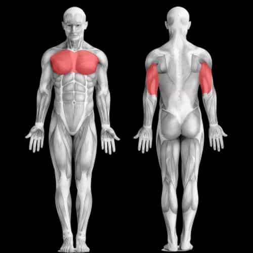 Сверхэффективная тренировка груди: больше и шире за месяц!