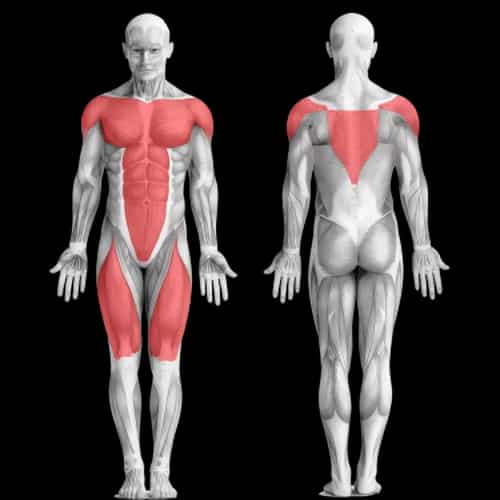 3 жиросжигающих тренировки фулбоди
