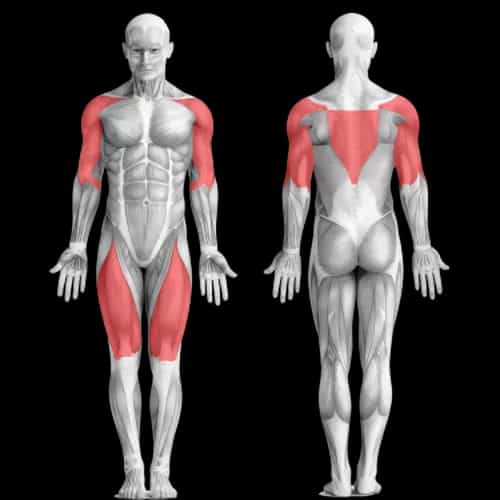 Максимум повторений: тренировка с гантелями и штангой