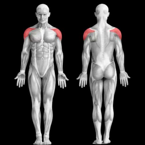 Тренировка плеч на форму и рельеф