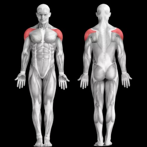 Тренировка плеч на форму и рельеф